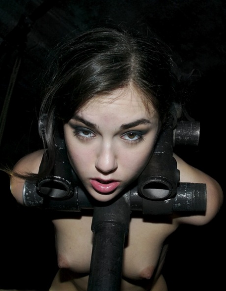 Sasha Grey pornstar beautiful archive